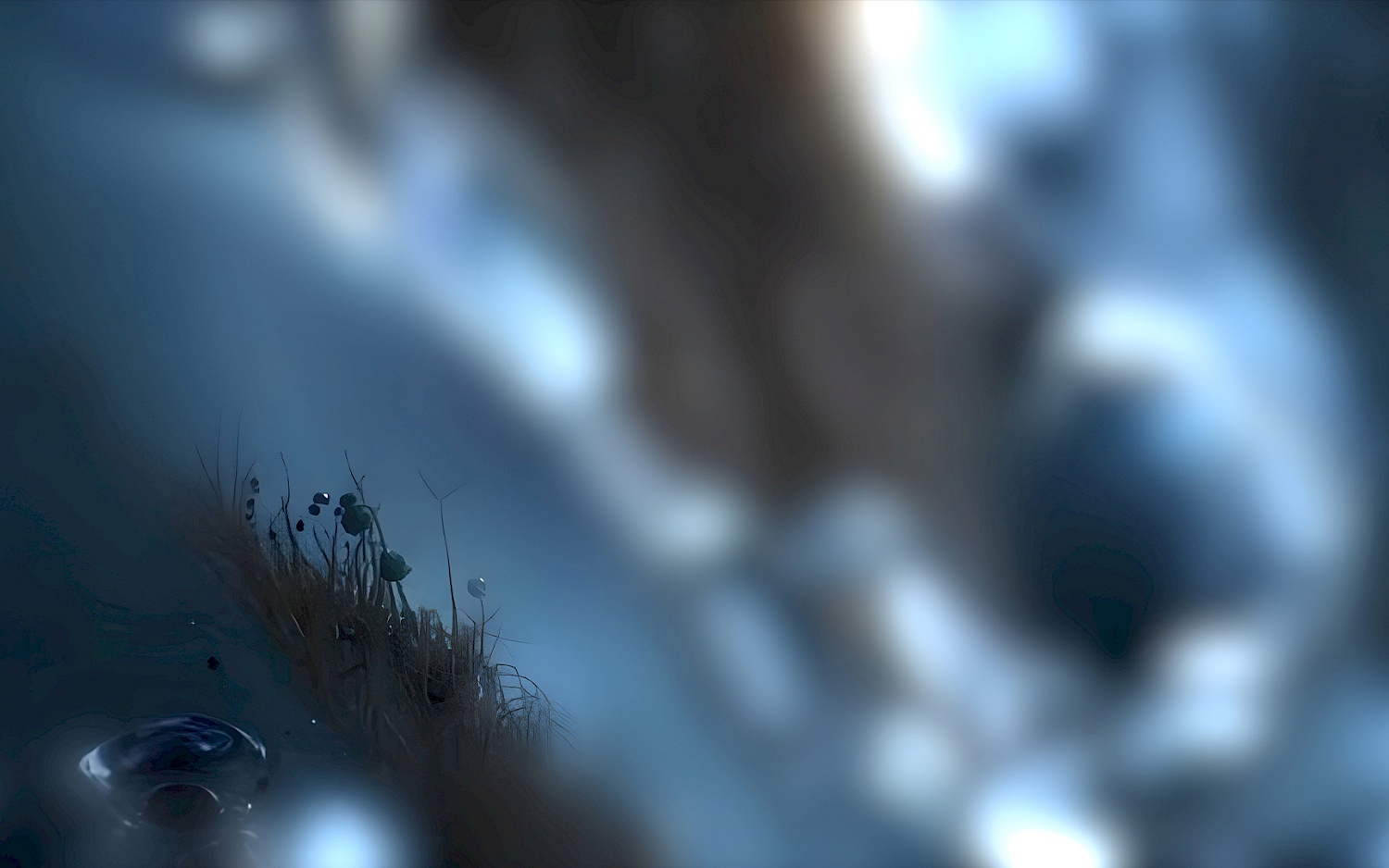 Abstrakte Formen, die an Pflanzen erinnern, vor verschwommenem Hintergrund