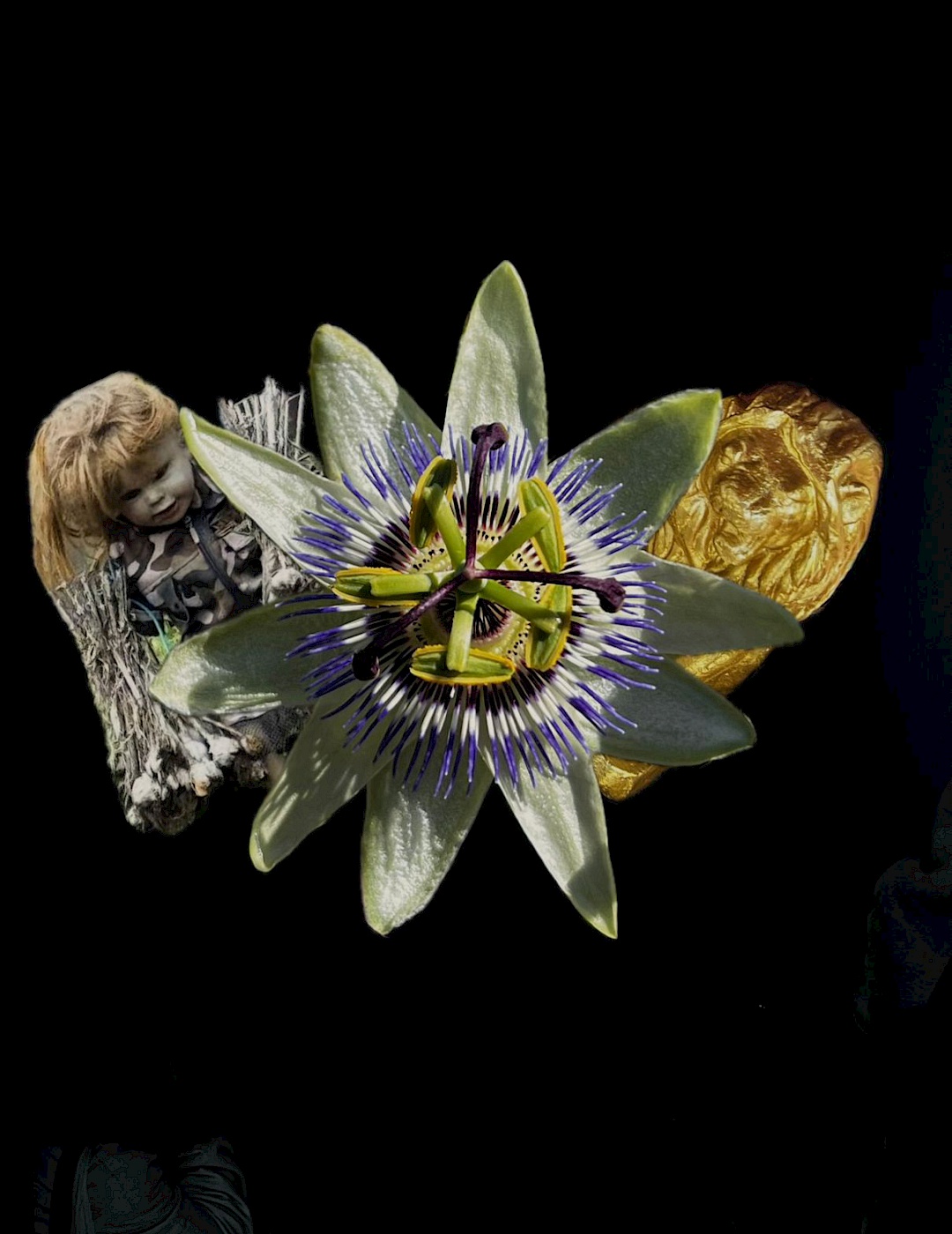 Digital collage of a blooming flower, creepy doll, and gold statue against a black background.