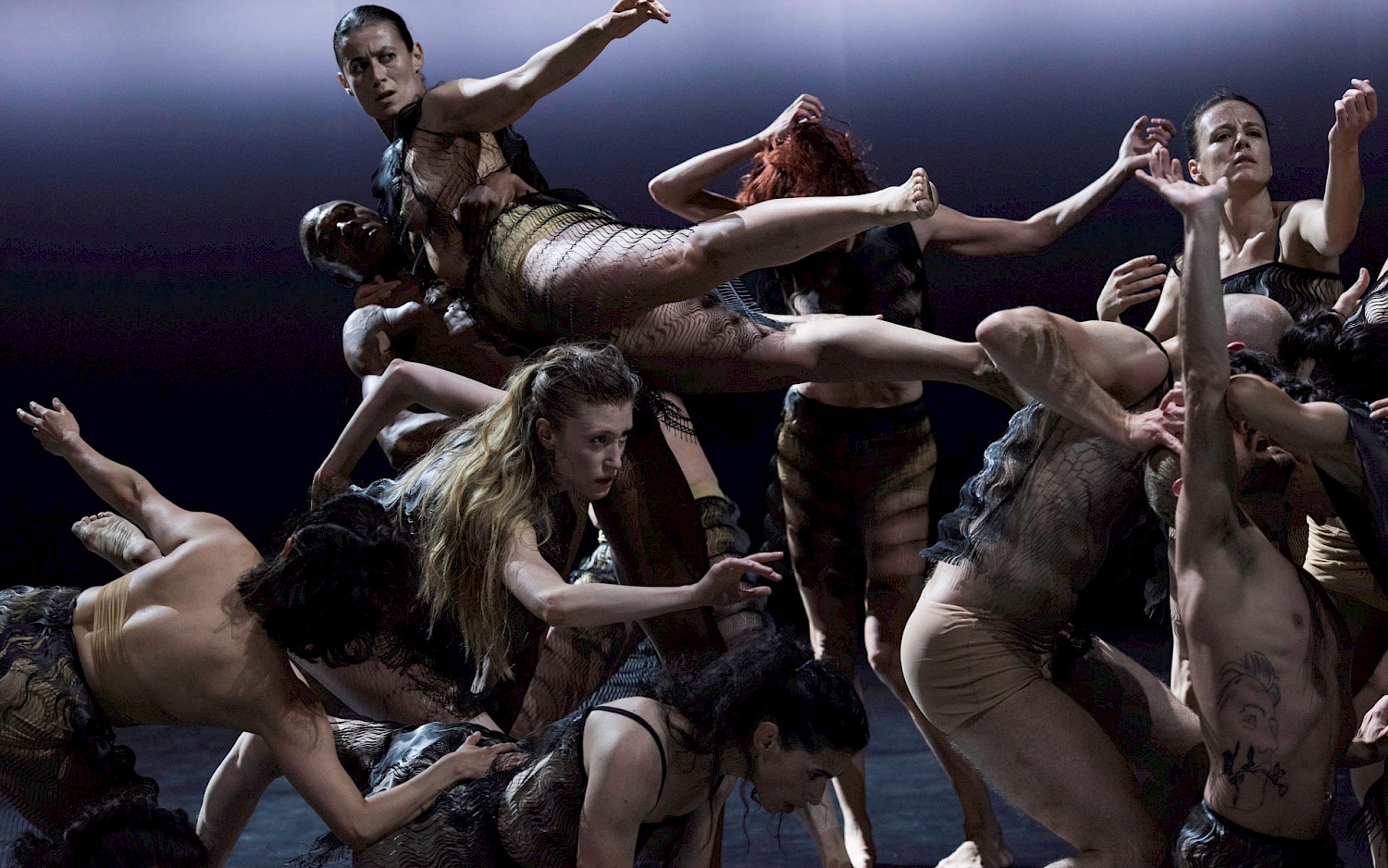 Eine Gruppe von Tänzer*innen in dynamischer Pose.