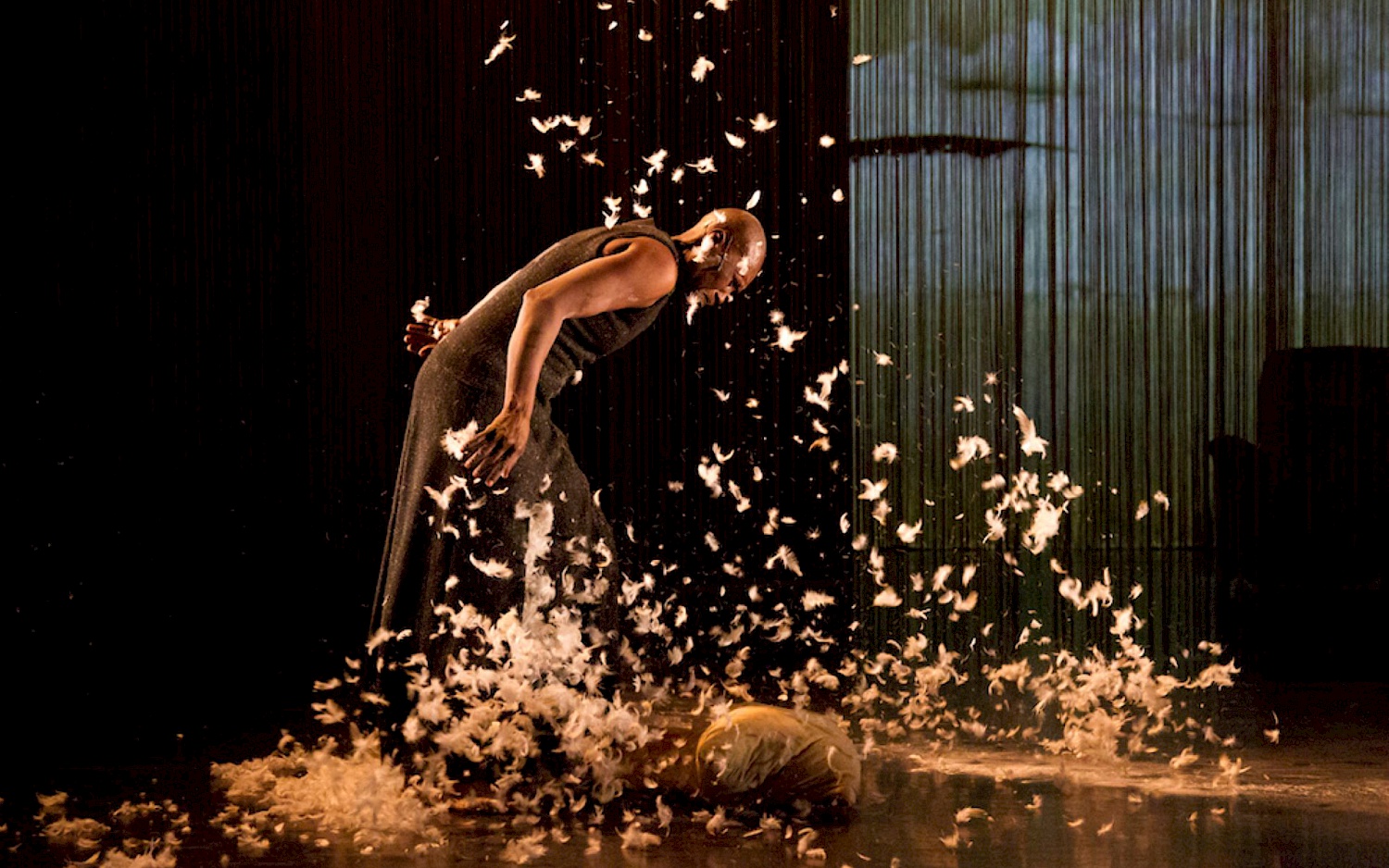 A person in a sleeveless, dark dress leans forward while numerous white feathers swirl through the air.